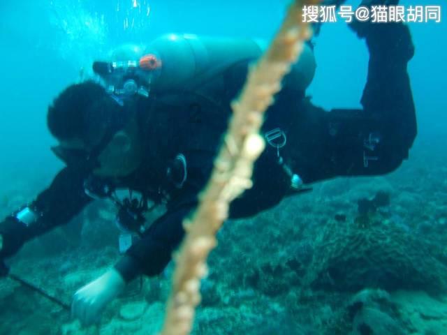 废品机械师